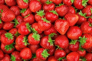 Frisches Obst Erdbeeren