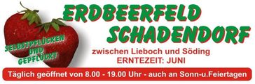 Erdbeerfeld Schadendorf